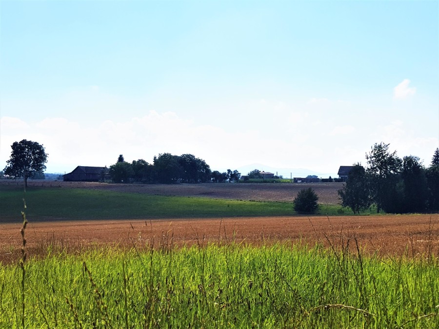 cieszyński, Hażlach, Rudnik, Działka na sprzedaż