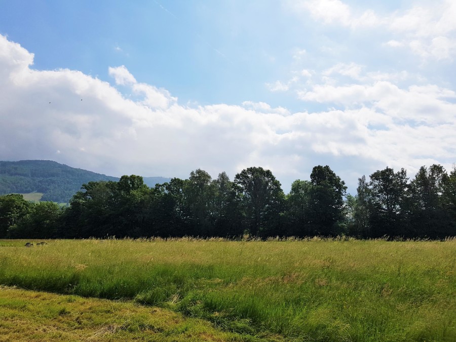 cieszyński, Brenna, Brenna, Działka na sprzedaż
