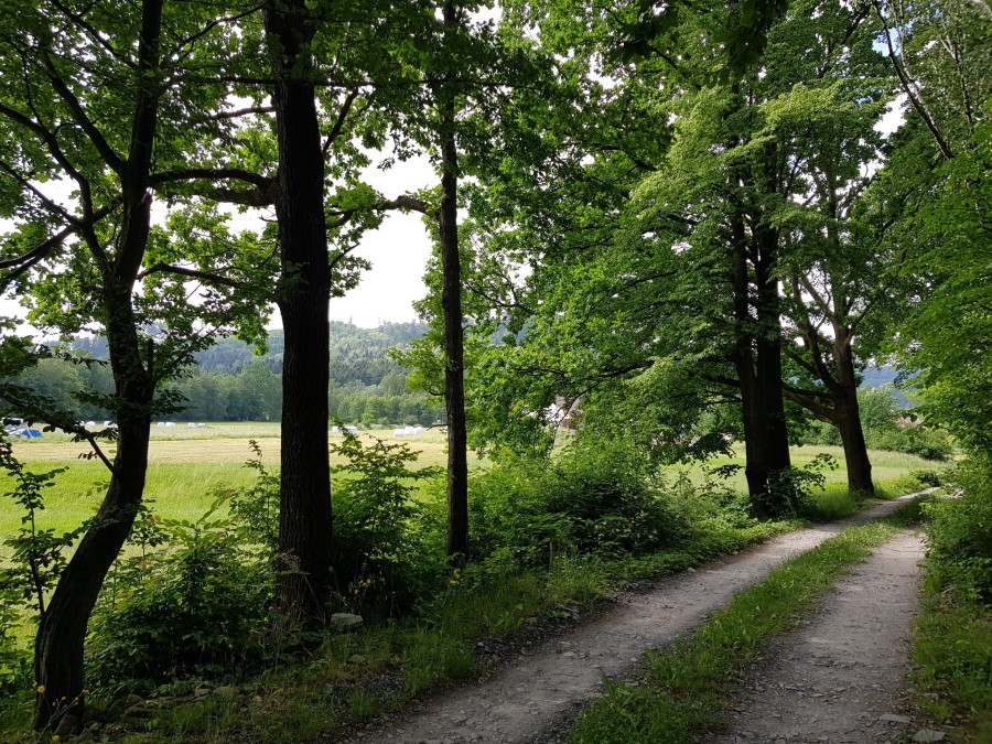 cieszyński, Brenna, Brenna, Działka na sprzedaż