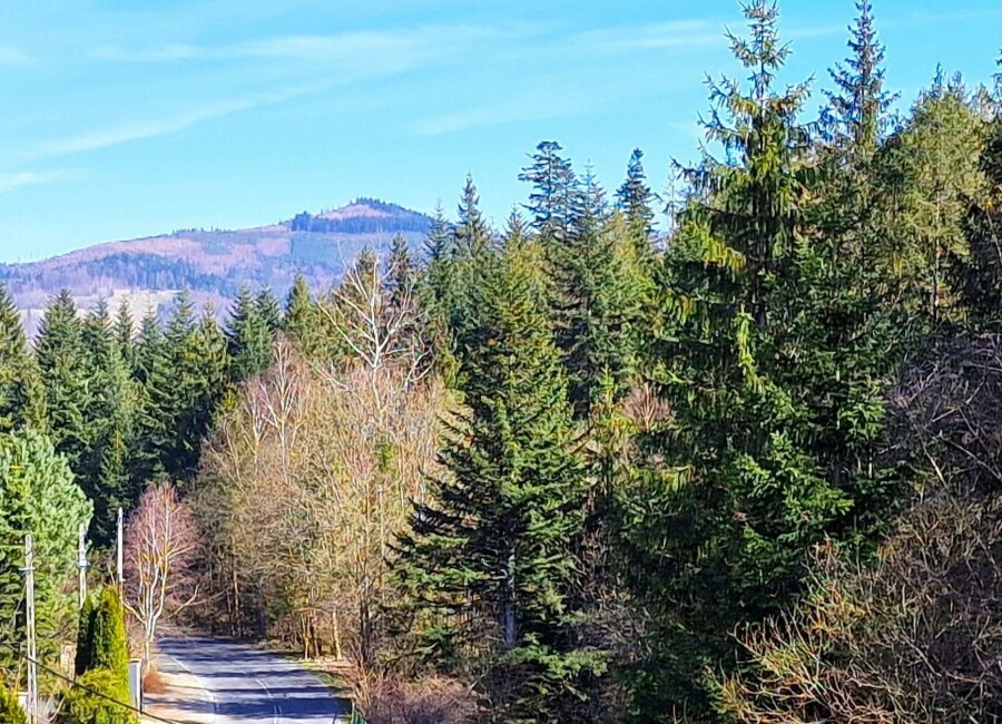 cieszyński, Wisła, Wisła, Turystyczna, Dom na wynajem